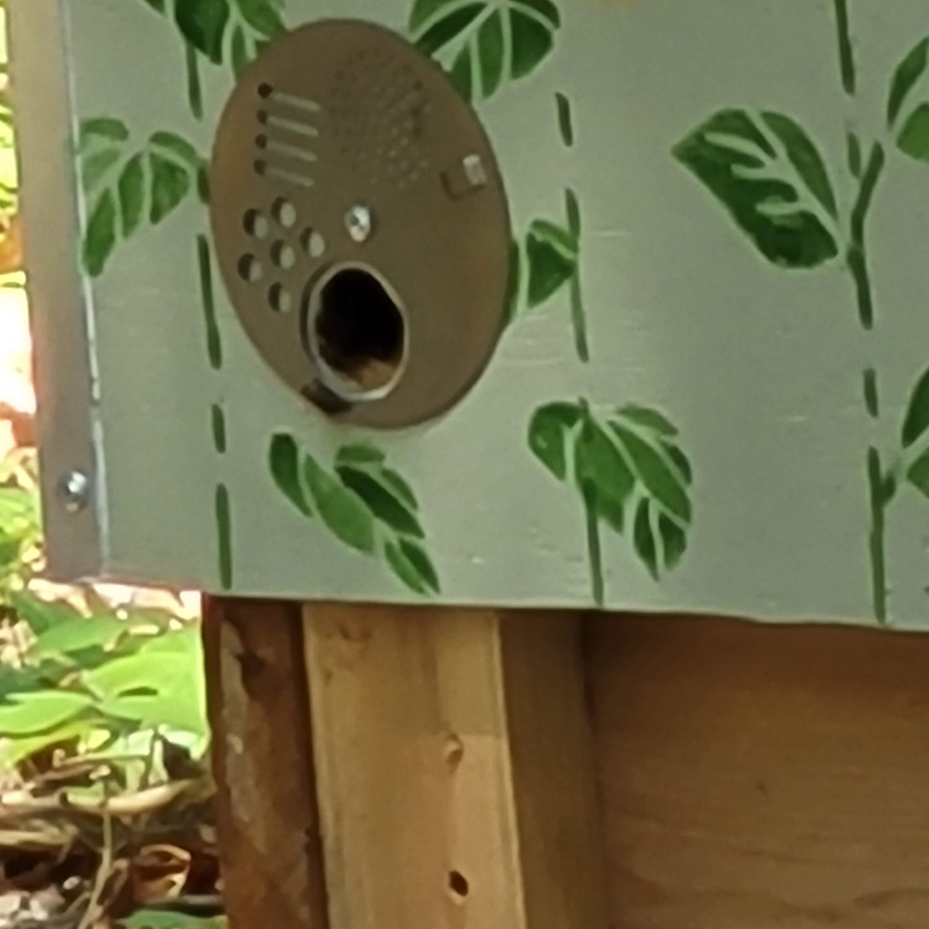 Swarm trap checking…