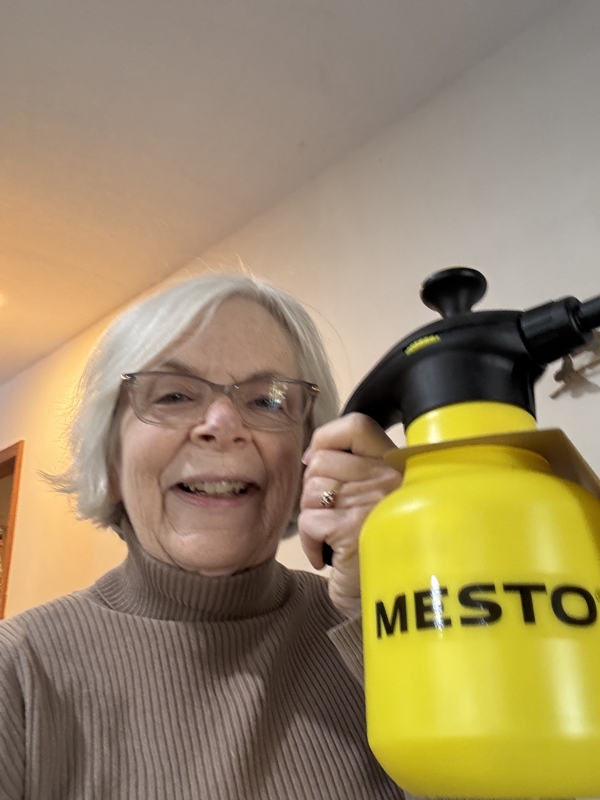 Linda and her Mesto